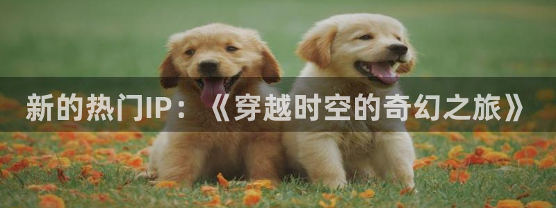 天天干天天影院