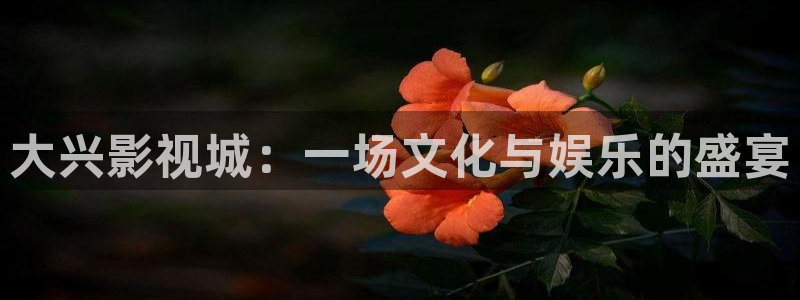 神马午夜天天影院