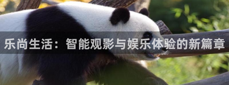 资兴天天影城新区