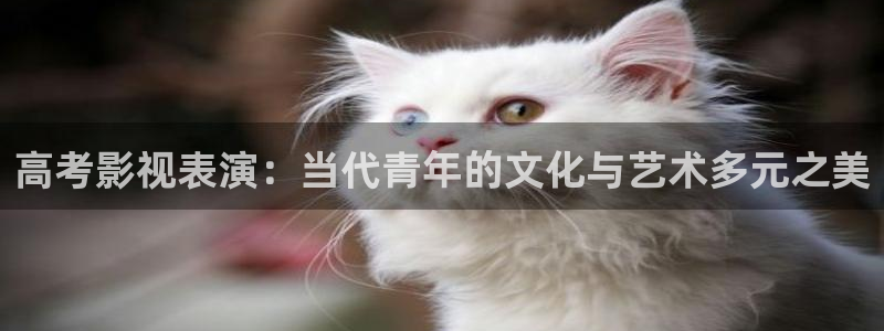 天天操天天日影院